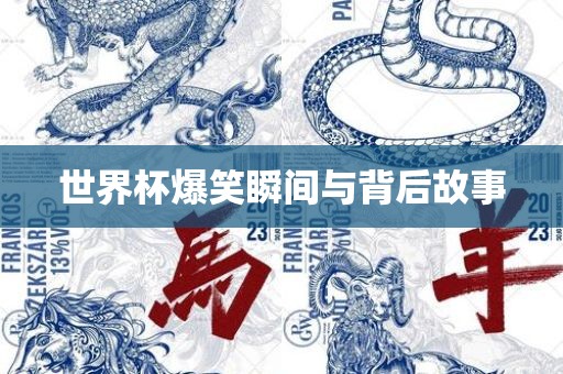 世界杯爆笑瞬间与背后故事