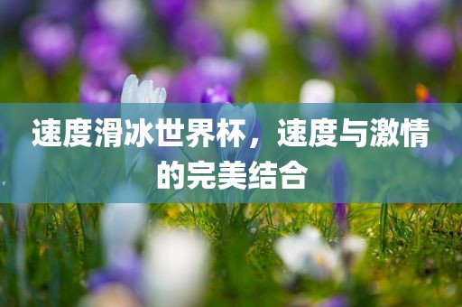 速度滑冰世界杯，速度与激情的完美结合江门市永晋源无纺布有限公司