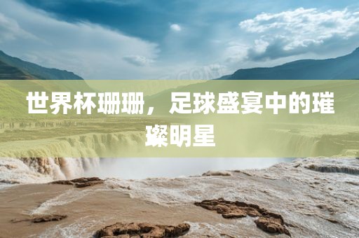世界杯珊珊，足球盛江门市永晋源无纺布有限公司宴中的璀璨明星