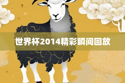 世界杯2014精彩瞬间回放
