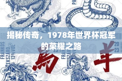 揭秘传奇，1978年世界杯冠军的荣耀之路