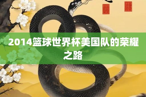 2014篮球世界杯美国队的荣耀之路