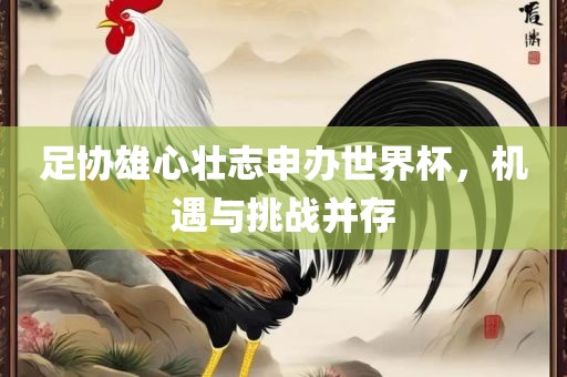 足协雄心壮志申办世界杯，机遇与挑战并存