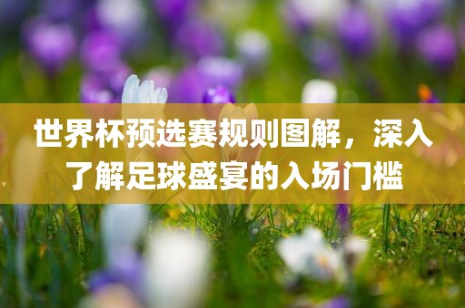 世界杯预选赛规则图解，深入了解足球盛宴的入场门槛江门市永晋源无纺布有限公司
