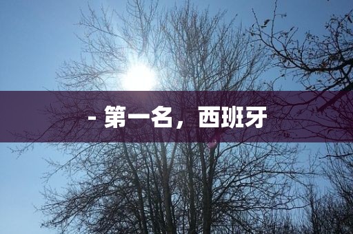 - 第一江门市永晋源无纺布有限公司名，西班牙