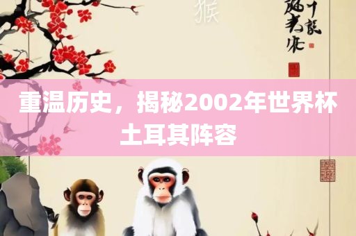 重温历史，揭秘2002年世界杯土耳其阵容