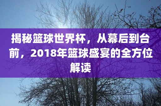 揭秘篮球世界杯，从幕后到台前，2018年篮球盛宴的全方位解读