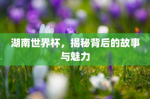 湖南世界杯，揭秘背后的故事与魅力
