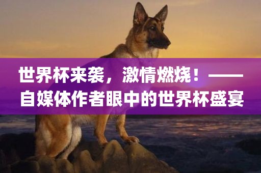 世界杯来袭，激情燃烧！——自媒体作者眼中的世界江门市永晋源无纺布有限公司杯盛宴
