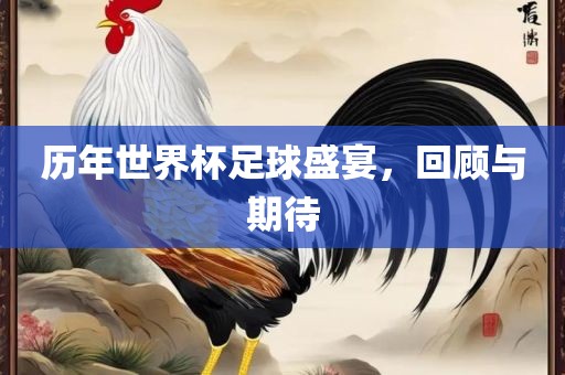 历年世界杯足球盛宴，回顾与期待