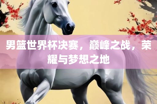 男篮世界杯决赛，巅峰之战，荣耀与梦想之地江门市永晋源无纺布有限公司