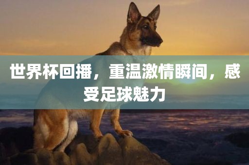 世界杯回播，重温激情瞬间，感受足球魅力