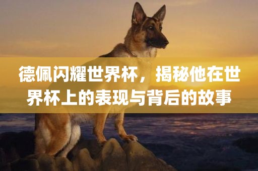 德佩闪耀世界杯，揭秘他在世界杯上的表现与背后的故事