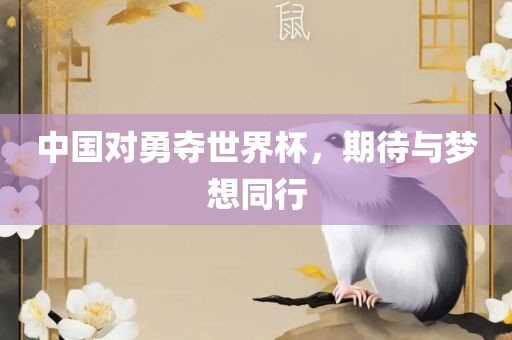 中国对勇夺世界杯，期待与梦想同行