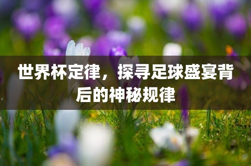 世界杯定律，探寻足球盛宴背后的神秘规律江门市永晋源无纺布有限公司