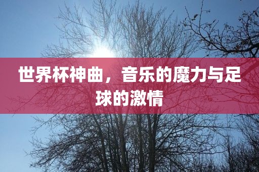 世界杯神曲，音乐的魔力与足球的激情