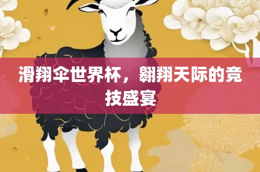 滑翔伞世界杯，翱翔天际的竞技盛宴江门市永晋源无纺布有限公司