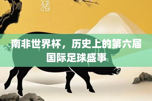 南非世界杯，历史上的第六届国际足球盛事