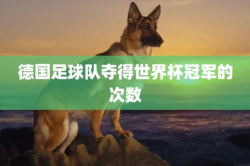 德国足球队夺得世界杯冠军的次数