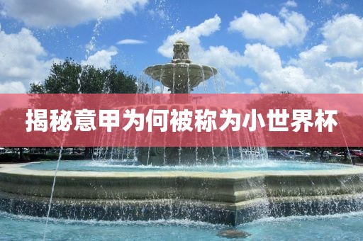 揭秘意甲为何被称为小世界杯江门市永晋源无纺布有限公司