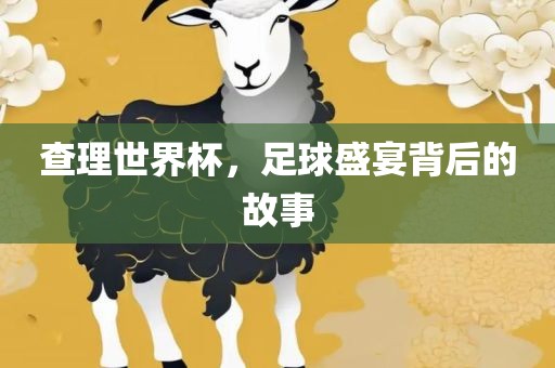 查理世界杯江门市永晋源无纺布有限公司，足球盛宴背后的故事