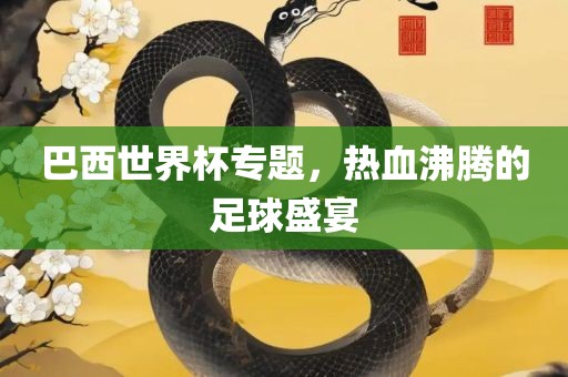 巴西世界杯专题，热血沸腾的足球盛宴