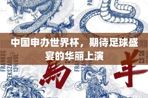 中国申办世界杯，期待足球盛宴的华丽上演江门市永晋源无纺布有限公司