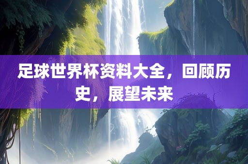 足球世界杯资料大全，回顾历史，展望未来