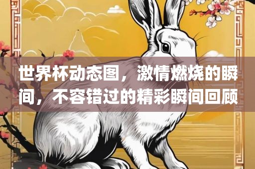 世界杯动态图，激情燃烧的瞬间，不容错过的精彩瞬间回顾