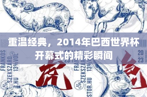 重温经典，2014年巴西世界杯开幕式的精彩瞬间