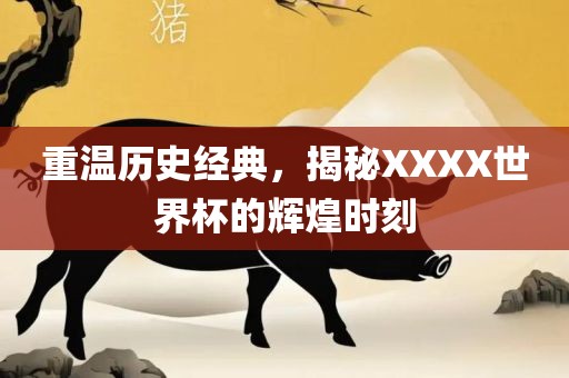 重温历史经典，揭秘XXXX世界杯的辉煌时刻