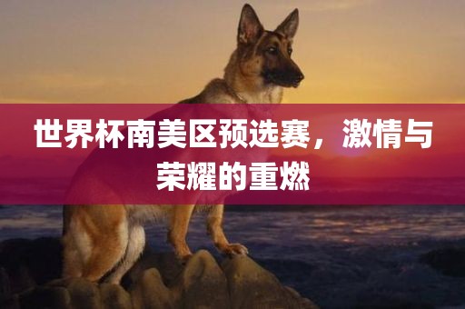 世界杯南美区预选赛，激情与荣耀的重燃江门市永晋源无纺布有限公司