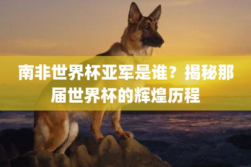 南非世界杯亚军是谁？揭秘那届世界杯的辉煌历程江门市永晋源无纺布有限公司