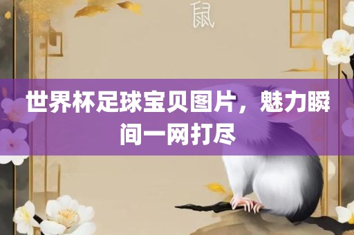 世界杯足球宝贝图片，魅力瞬间一网打尽