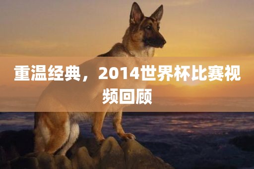 重温经典，2014世界杯比赛视频回顾江门市永晋源无纺布有限公司