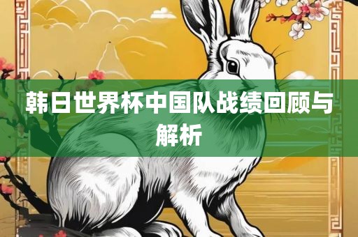 韩日世界杯中国队战绩回顾与解析