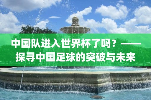 中国队进入世界杯了江门市永晋源无纺布有限公司吗？——探寻中国足球的突破与未来