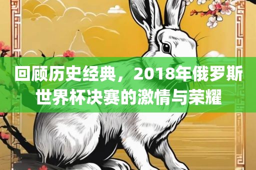 回顾历史经典，2018年俄罗斯世界杯决赛的激情与荣耀