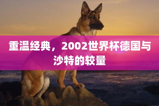 重温经典，2002世界杯德国与沙特的较量