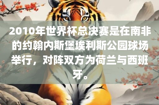 2010年世界杯总决赛是在南非的约翰内斯堡埃利斯公园球场举行，对阵双方为荷兰与西班牙。
