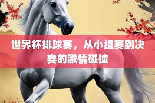世界杯排球赛，从小组赛到决赛的激情碰撞