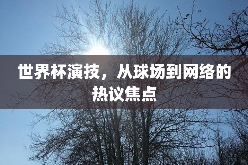 世界杯演技，从球场到网络的热议焦点江门市永晋源无纺布有限公司