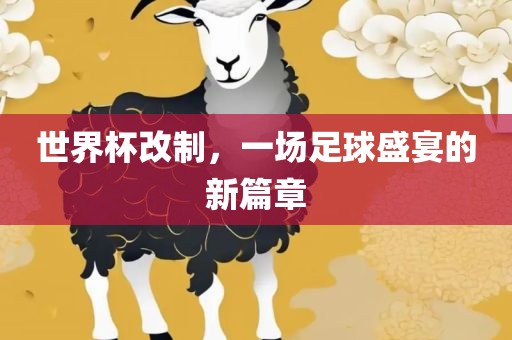世界杯改制，一场足球盛宴的新篇章江门市永晋源无纺布有限公司