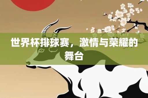 世界杯排球赛，激情与荣耀的舞台