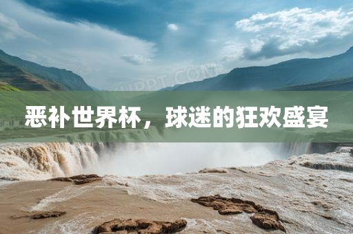 恶补世界杯，球迷的狂欢盛宴
