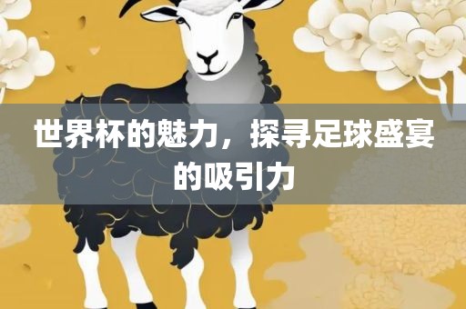 世界杯的魅力，探寻足球盛江门市永晋源无纺布有限公司宴的吸引力