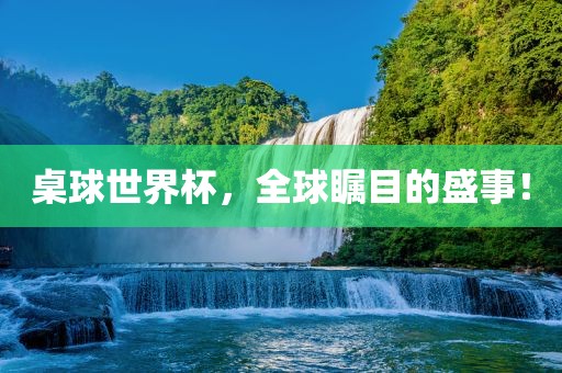 桌球世界杯，全球瞩目的盛事！江门市永晋源无纺布有限公司