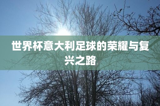 世界杯意大利足球的荣耀与复兴之路江门市永晋源无纺布有限公司