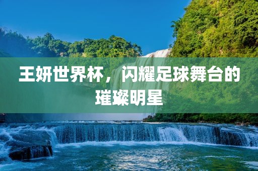 王妍世界杯，闪耀足球舞台的璀璨明星江门市永晋源无纺布有限公司
