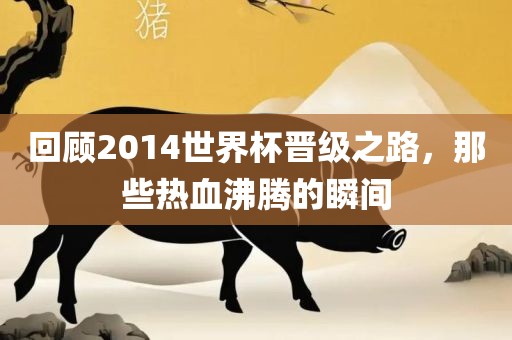 回顾2014世界杯晋级之路，那些热血沸腾的瞬间